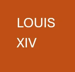 [000001] Test - Perruque Louis XIV